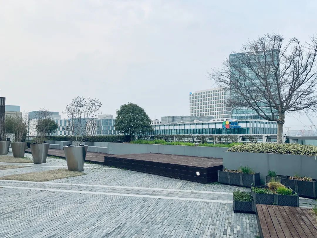 實習內外 · AECOM｜探訪上海花園文化實踐，從屋頂花園更新到社區花園節9.jpg