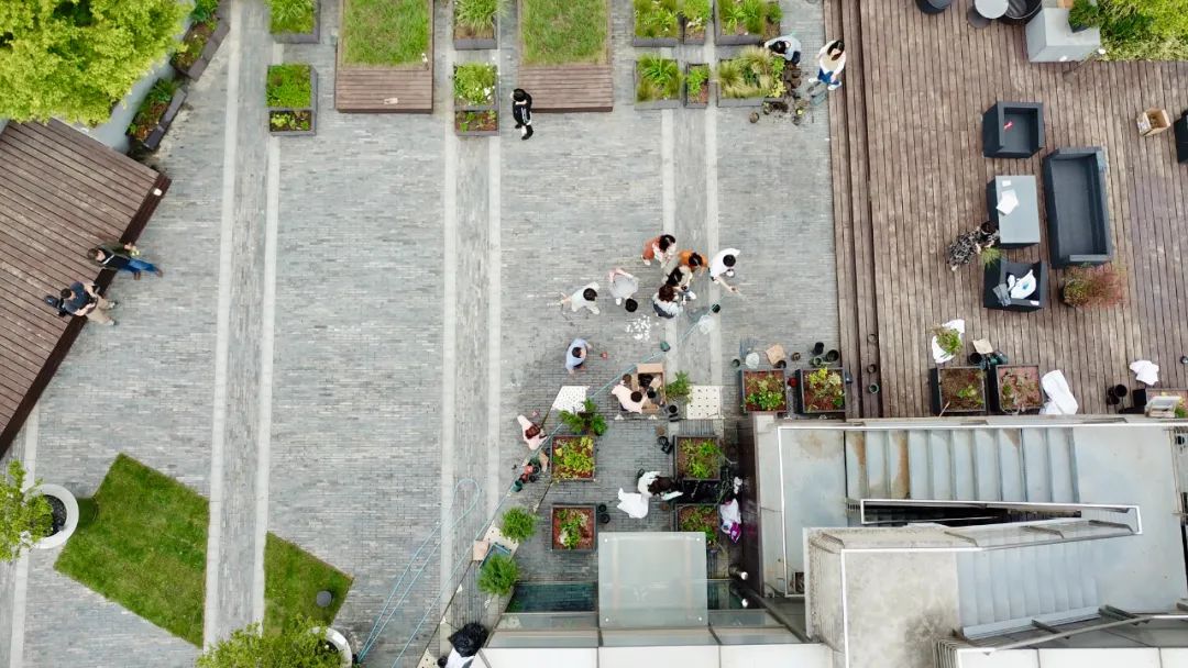 實習內外 · AECOM｜探訪上海花園文化實踐，從屋頂花園更新到社區花園節10.jpg