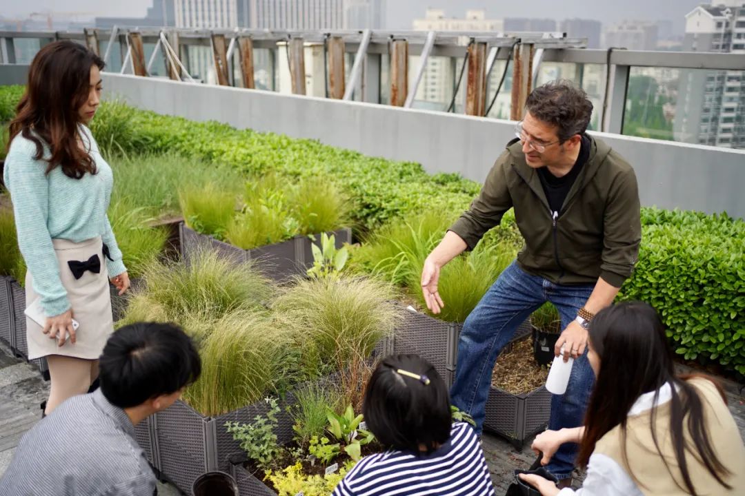 實習內外 · AECOM｜探訪上海花園文化實踐，從屋頂花園更新到社區花園節11.jpg