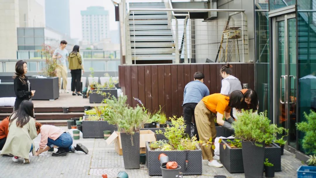 實習內外 · AECOM｜探訪上海花園文化實踐，從屋頂花園更新到社區花園節12.jpg