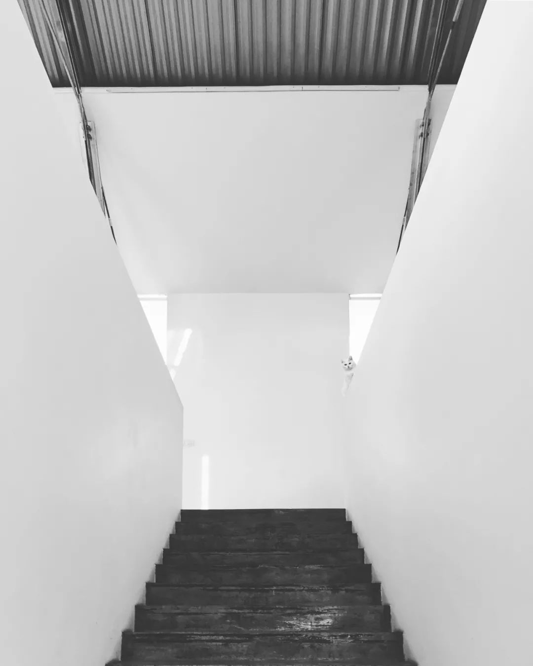 職場萌新指南 · 大舍建筑｜“即物即境”：二十年詩理哲學的建筑實踐13.jpg