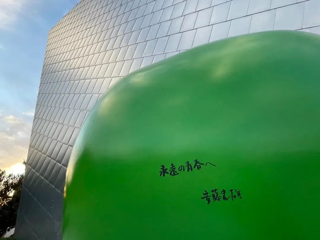 拋去流量，安藤的“青春”，是一種心境27.jpg