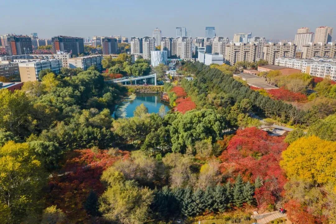 640.jpg