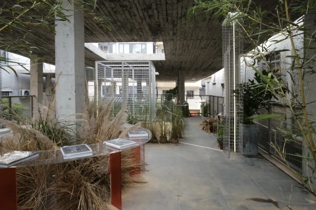 深圳·村中村  跡·建筑事務(wù)所（TAO） (19).jpg