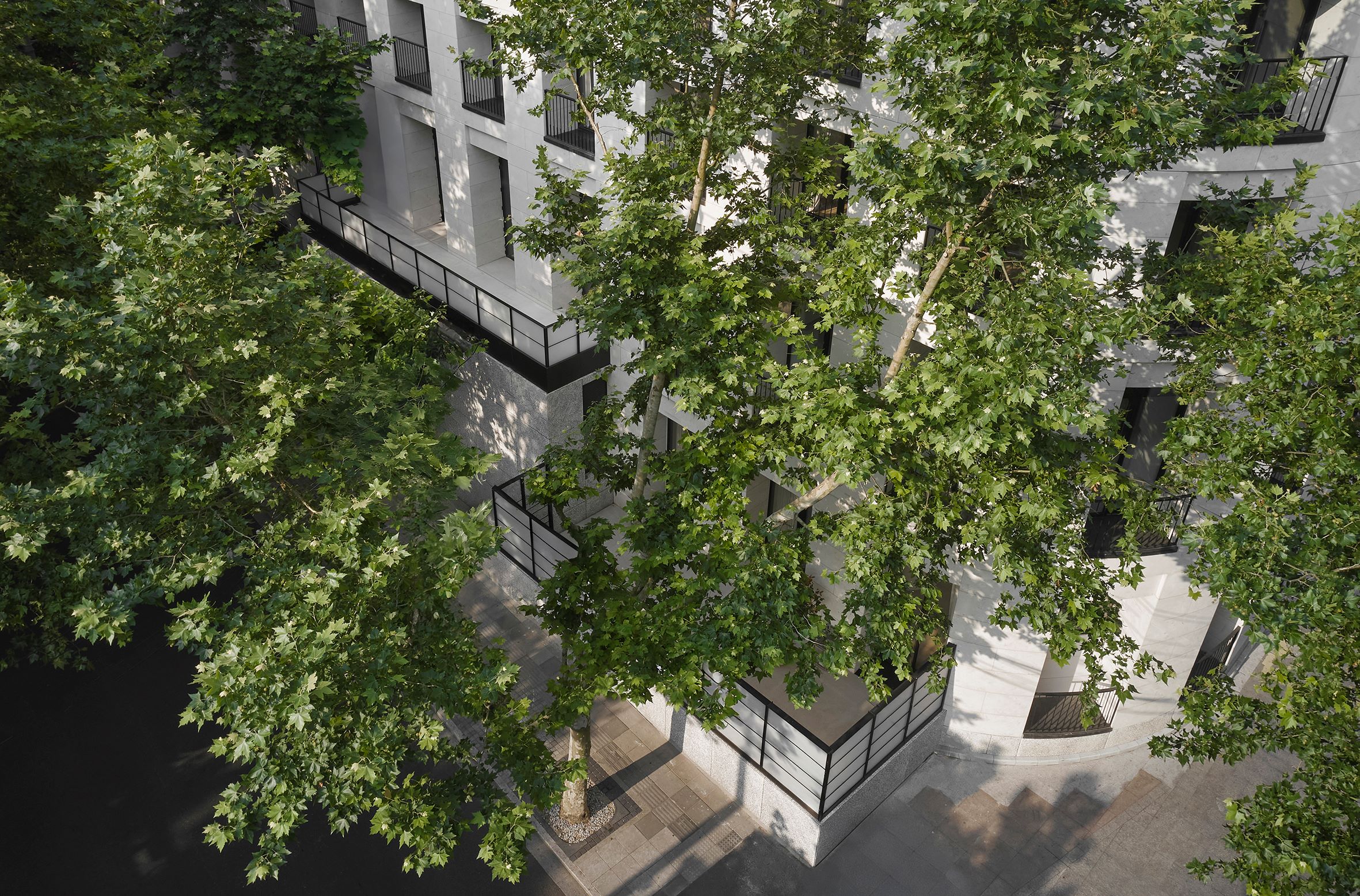 W.DESIGN無間設(shè)計(jì)_藏家公館 Collector's Mansion_02.jpg